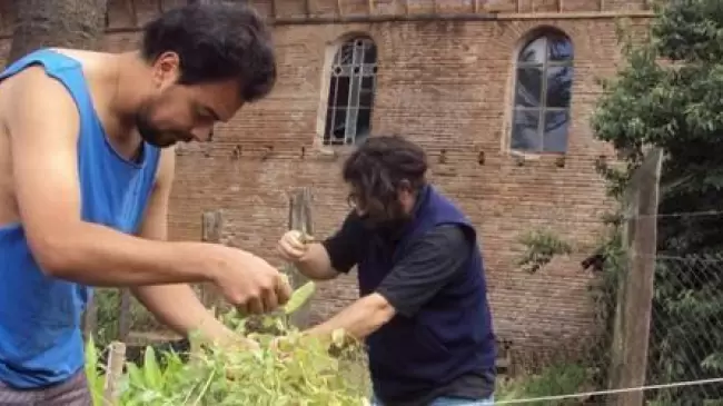 Vida fraterna, oracin y trabajo