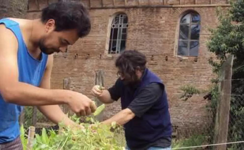 Vida fraterna, oración y trabajo