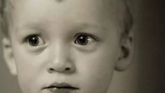 bebe