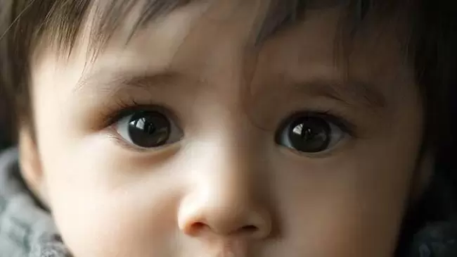 bebe2