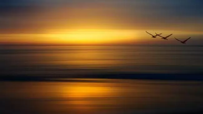 libertad