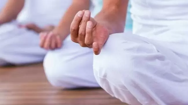 yogui