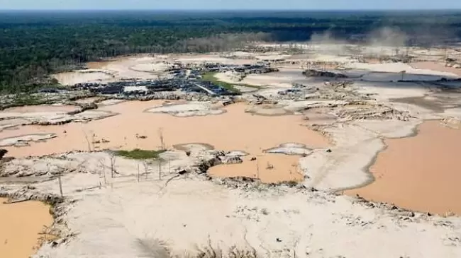 amazonas