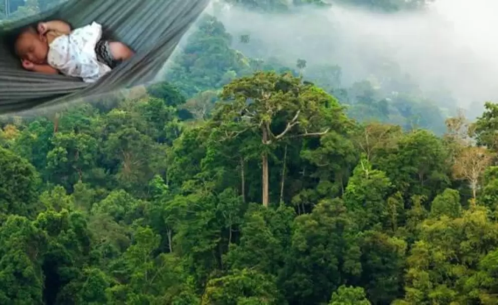 En el corazón de la Amazonía, un pesebre para Jesús