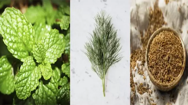 Mentalidad de menta, eneldo y comino