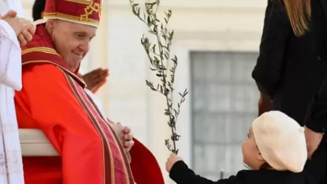 Papa Francisco: "El amor de Jess es capaz de transformar nuestros corazones de piedra en corazones de carne"