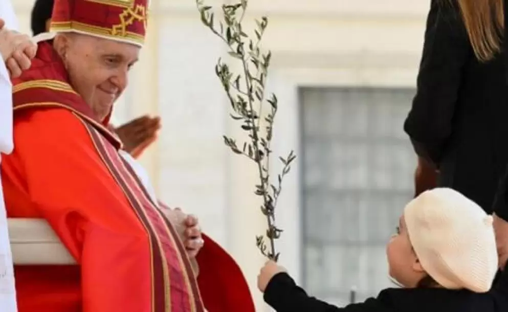 Papa Francisco: "El amor de Jesús es capaz de transformar nuestros corazones de piedra en corazones de carne"