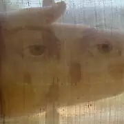 El Sudario de Manoppello analizado por la ciencia: Milagro que registra el misterio de la Pasi�n de Cristo