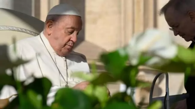 El Papa en su catequesis: La accin santificadora del Espritu Santo nos libera y habilita para orar como hijos de Dios