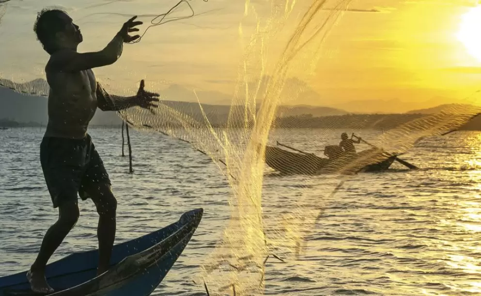 Imagen gentileza de Quang Nguyen Vinh - Pexels