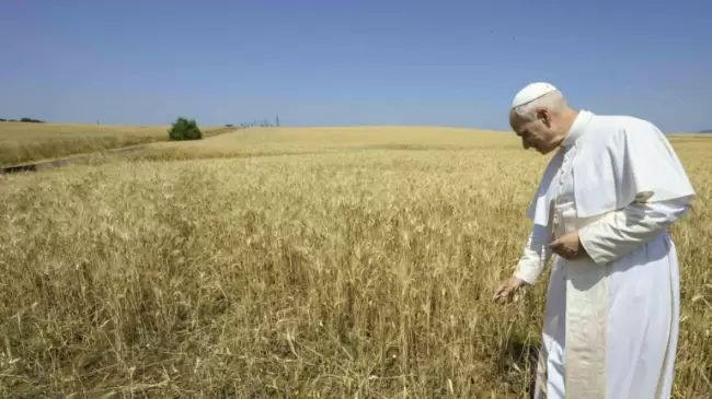 El Papa Len XIV emplaza a los cristianos al afirmar que la defensa del medio ambiente "es tambin una cuestin de fe"