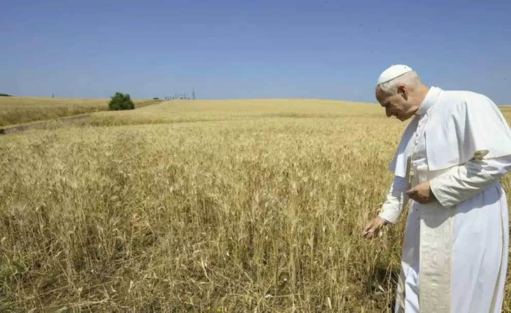 El Papa Len XIV emplaza a los cristianos al afirmar que la defensa del medio ambiente "es tambin una cuestin de fe"