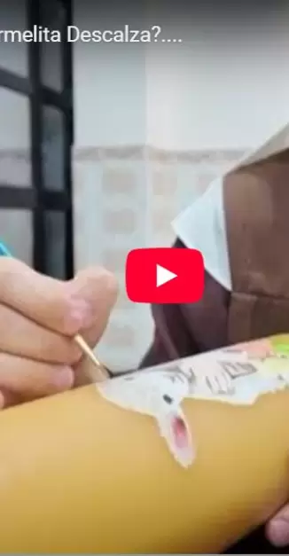 Cmo es la vida de una Carmelita Descalza?...