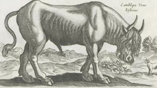 Una fiera que se devora a s misma y mata con la mirada