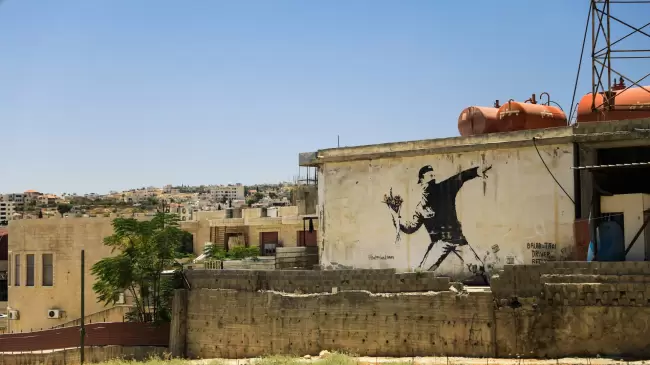 Imagen gentileza de Dylan Shaw.