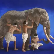 La verdad y la f�bula de los ciegos y el elefante