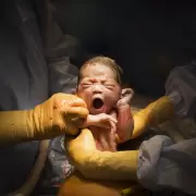 Obispo Barron califica de "asquerosa" la ley que permite asesinar en el vientre a seres humanos hasta los 9 meses